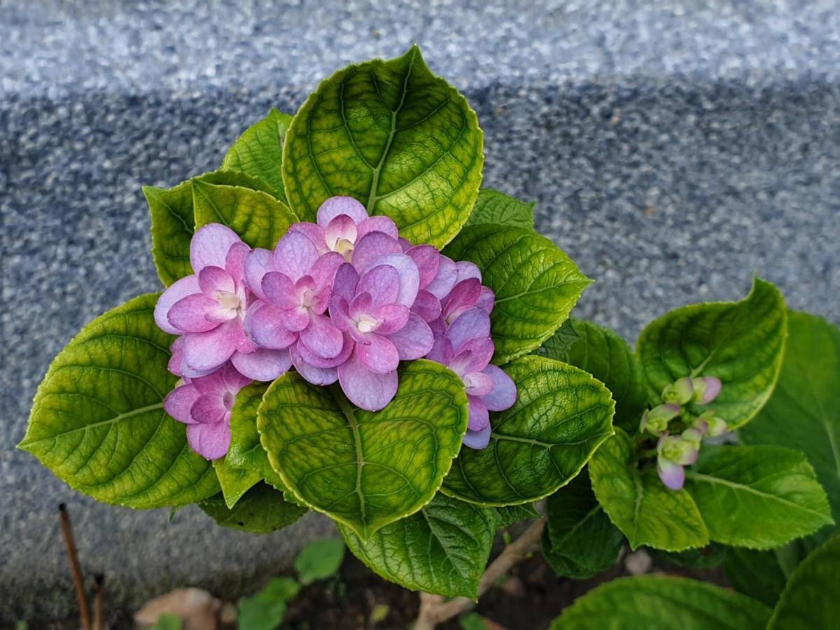 美村民宿 Yuemei Ngoại thất bức ảnh